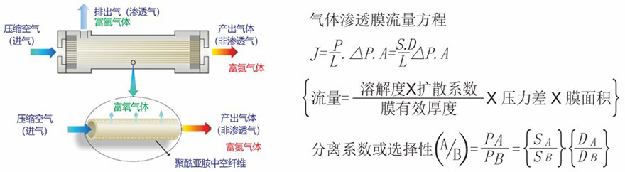 1632641333272643.jpg 1.jpg